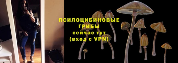дживик Алзамай