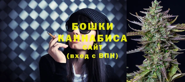 индика Заволжье