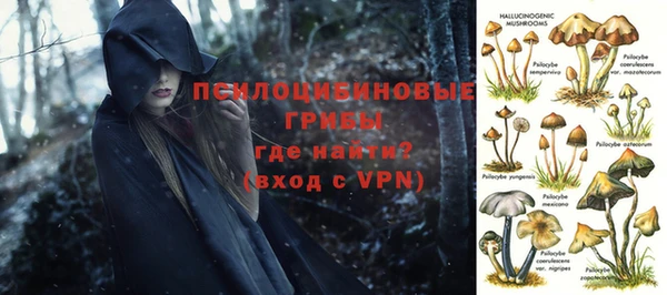 дживик Алзамай