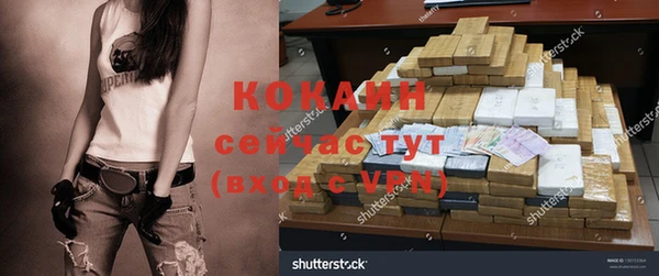 дживик Алзамай